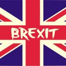Reino Unido podría paralizar unilateralmente el Brexit